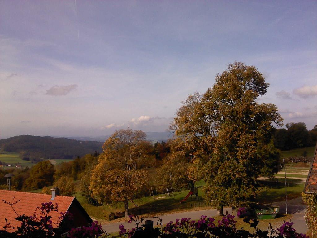 Ferienwohnung Uschkereit Waldmünchen Extérieur photo
